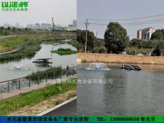太陽能噴泉曝氣機 